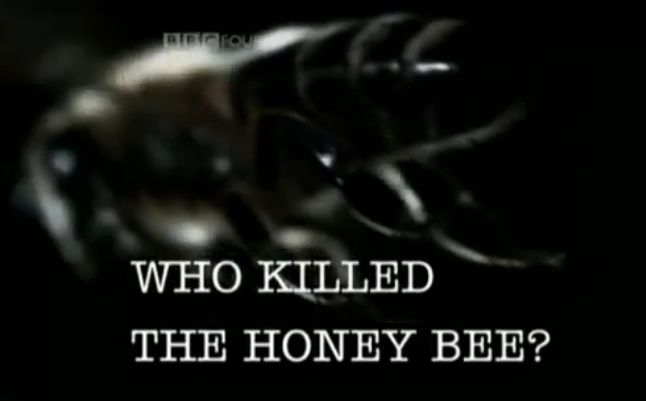 Who Killed Honey Bee